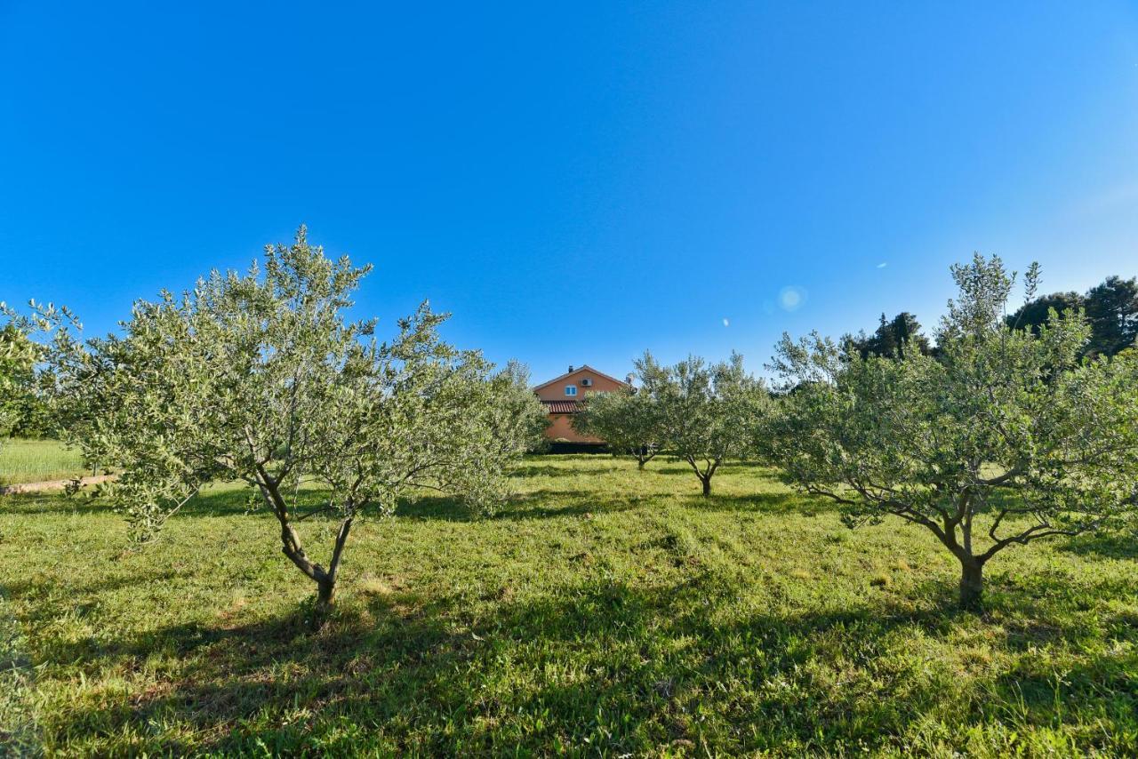 Holiday Home Taras Smilcic Εξωτερικό φωτογραφία