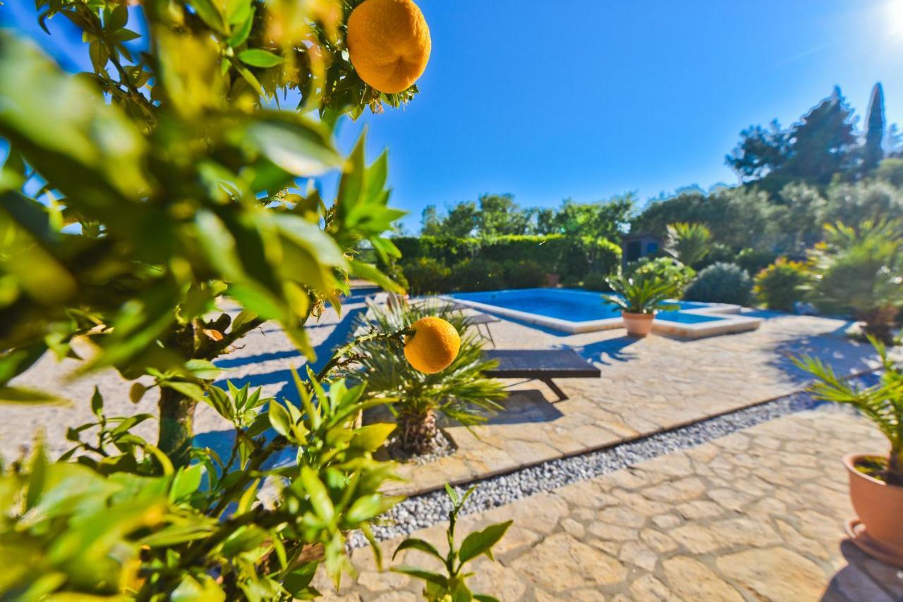 Holiday Home Taras Smilcic Εξωτερικό φωτογραφία